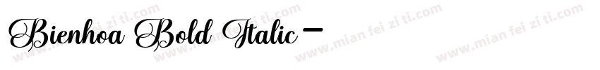 Bienhoa Bold Italic字体转换